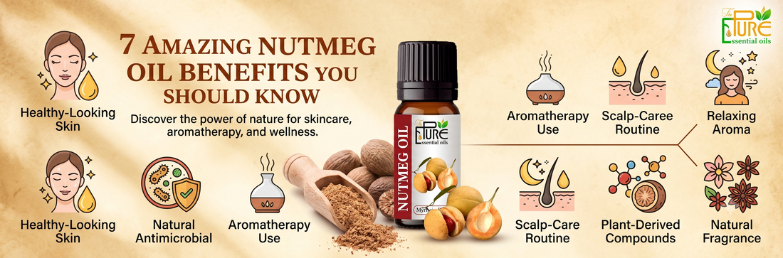 Nutmeg oil | ThePureEssentialOils 