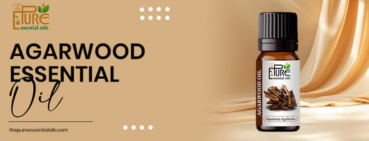 Agarwood Essential Oil