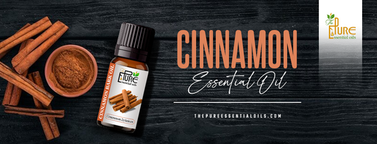 Cinnamon essential oil