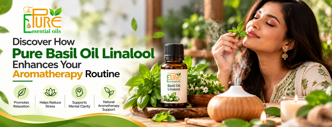 Discover How Pure Basil Oil Linalool Enhances Your Aromatherapy Routine