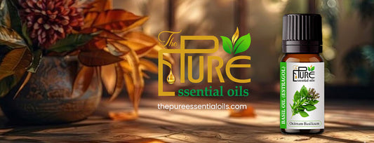 Pure Essential Oils: Best Organic Oils, Uses & Wholesale Buying Guide (2026)