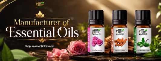 From Oil to Beauty: Choose the Right Manufacturer of Essential Oils