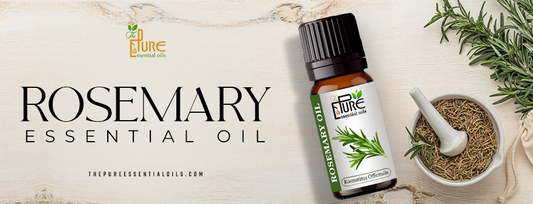 Rosemary Essential Oil