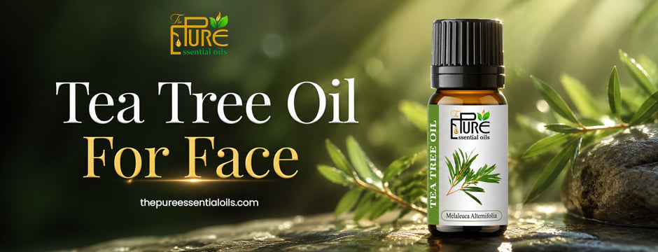 Tea Tree Oil for Face: Best Ways to Treat Oily and Acne-Prone Skin