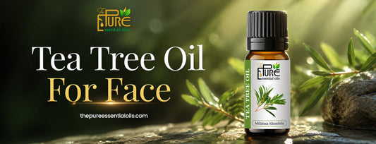 Tea Tree Oil for Face: Best Ways to Treat Oily and Acne-Prone Skin