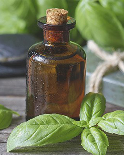 Basil Oil