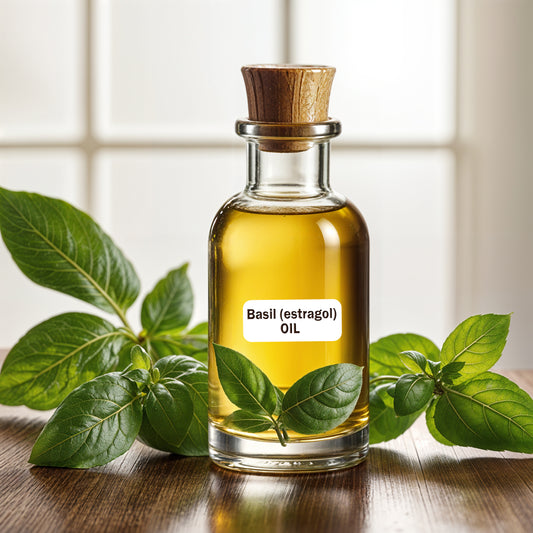 Basil (estragol) Oil