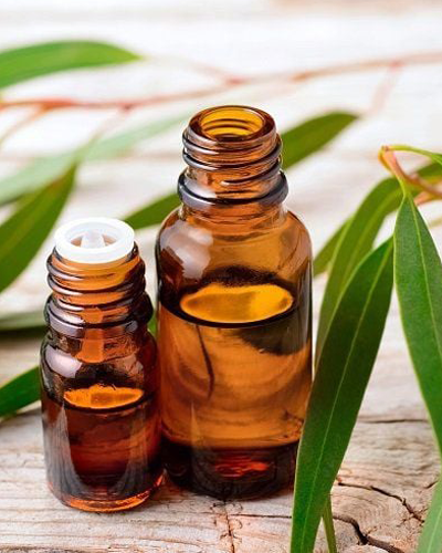 Eucalyptus Oil