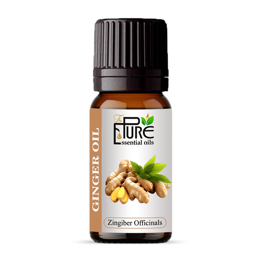 Ginger Oil