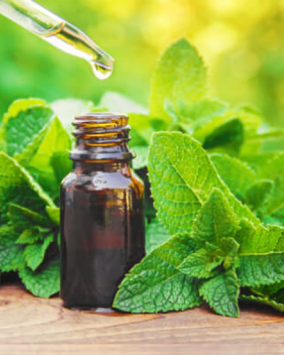 Mentha Arvensis Oil